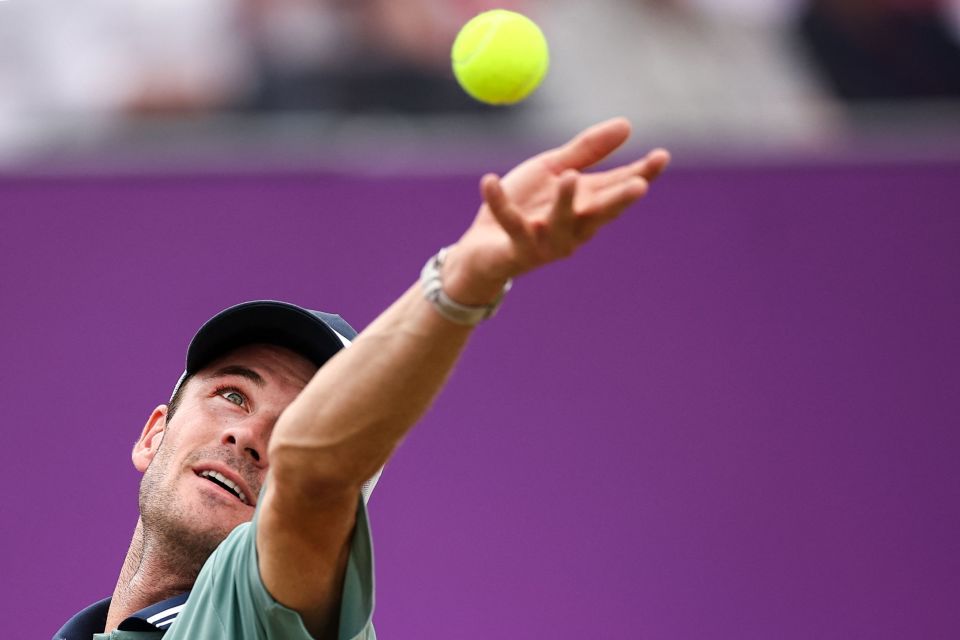 在我看来 在我看来